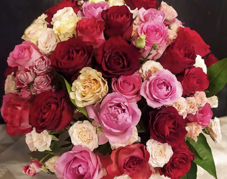 Krāsainais pārsteigums